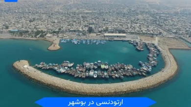 ارتودنسی در بوشهر